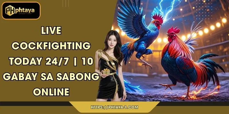Live cockfighting today 24/7 | 10 Gabay sa Sabong Online