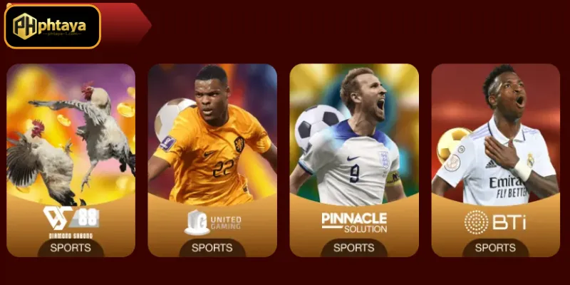 Palakasan PHTAYA: Para sa mga Sports Enthusiasts